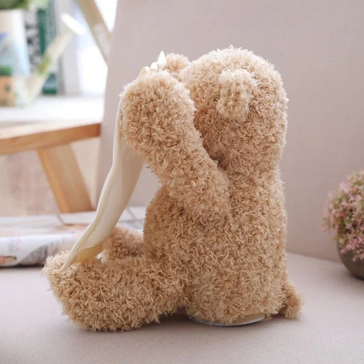 Interactive Cute Hide n Seek Teddy Bear