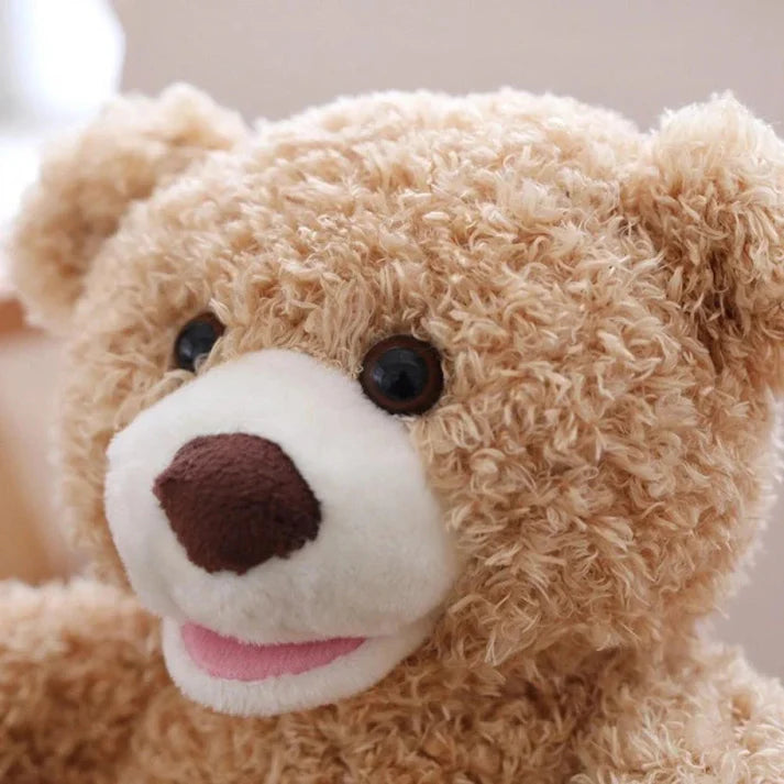 Interactive Cute Hide n Seek Teddy Bear